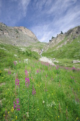 parc national de la vanoise