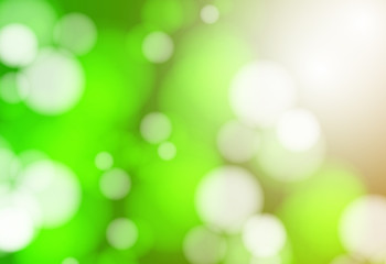 Vector Focus Background, Blurry summer