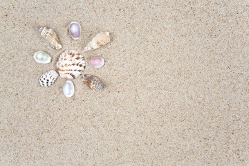 Fototapeta na wymiar sun made of sea shells over sand