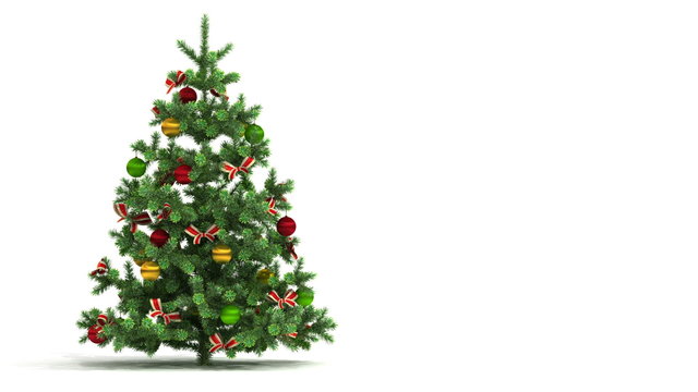 Christmas tree looped on white background.