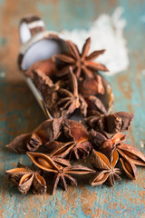 Closeup of star anis