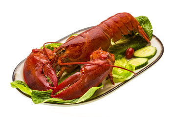 Large Lobster