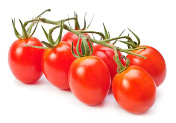 Branch red cherry tomatoes