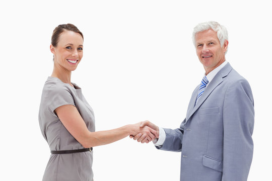 Businessman Shaking Hands With A Woman