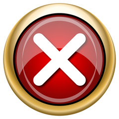 Fototapeta premium X close icon