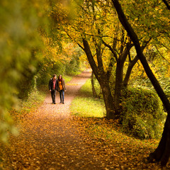 Lovers walking hand in hand in autumn park - obrazy, fototapety, plakaty