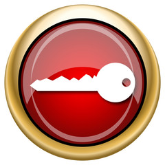Key icon