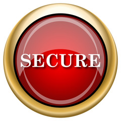 Secure icon