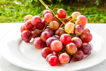 closeup and isolated grape