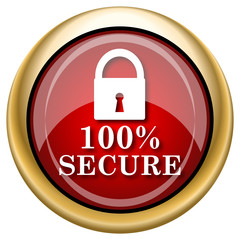 100 percent secure icon