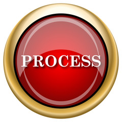 Process icon