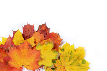 autumn leaves with space for your text