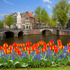 Fototapeta na wymiar mosty pierścienia kanał, stare miasto z Amsterdamu