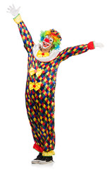 Funny clown isolated on white