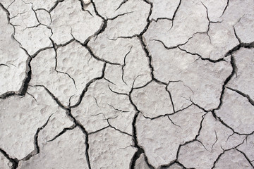 Cracked soil in Summer