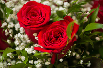 Nice roses in celebration concept