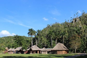 village de vacance en foret tropical