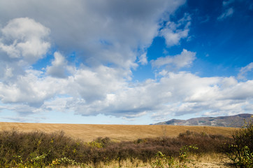 Fototapeta premium brown field and blue sky