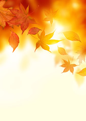 Autumn Falling Leaves