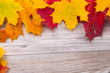 colored leaves on wood, autumn background