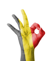 Hand making Ok sign, Belgium flag painted