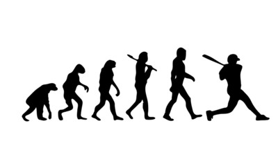 Evolution Baseball