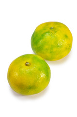 Mikan(Japanese Orange)