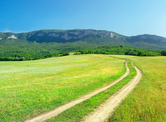 Rural road on the green meadow.