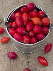 fresh and healthy rosehips