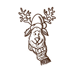 Reindeer in holiday clothes