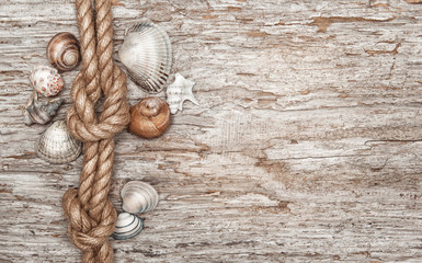 Ship rope, shells and old wood