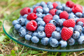 Blueberry with raspberry macro photo