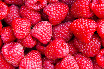 Fresh raspberries