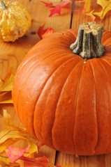 Pumpkin