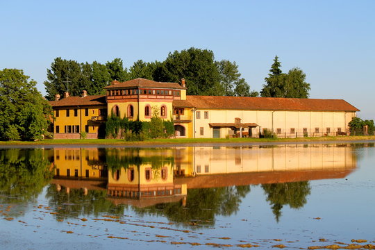 Cascinale
