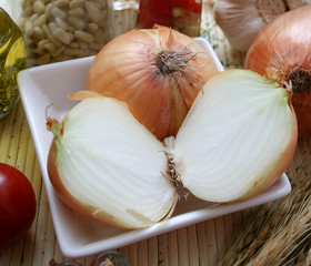 zwiebeln