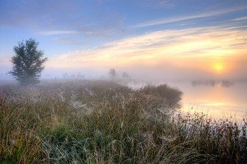 Great misty sunset over swamp