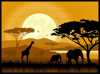 African savannah