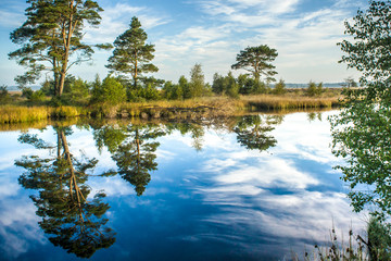 Reflections on a calm swamp lake