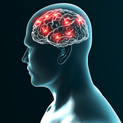 Obraz premium Cervello neuroni sinapsi