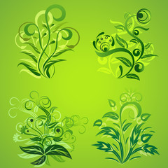Green floral design elements