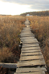 пейзаж © mifidor