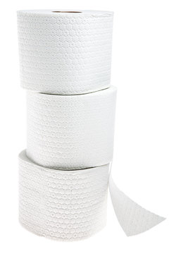 Three rolls of white perforated toilet paper isolated on white