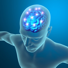 Cervello neuroni sinapsi