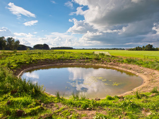 Amphibian Pond Nature Development