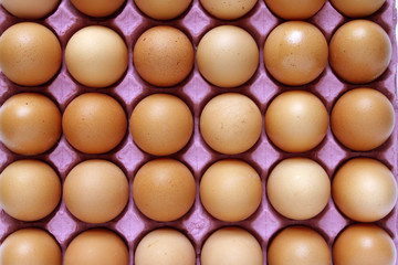 Close-up of eggs in tray