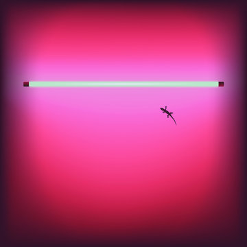 Neon sexy shop bar signboard - vector Eps10 illustration.