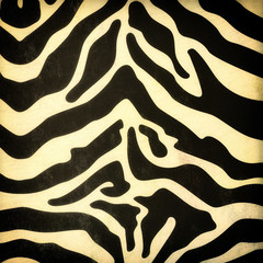 Zebra skin pattern