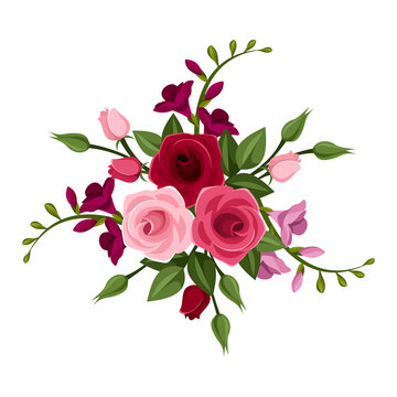 Roses and freesia. Vector illustration.