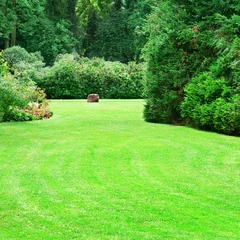 Foto op Plexiglas summer park with beautiful green lawns © alinamd